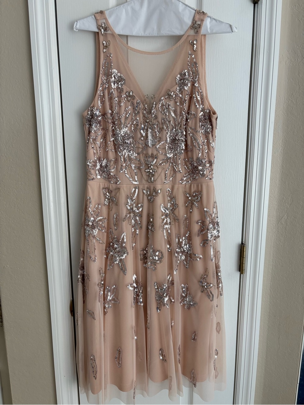 Adrianna Papell Embellished Blush Mesh A-Line Dress